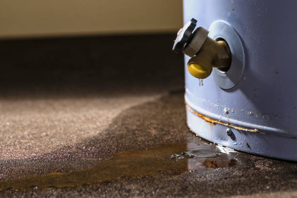 Best 24/7 water damage repair  in Jersey City, NJ