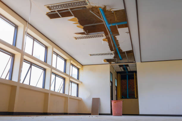 Best Ceiling water damage repair  in Jersey City, NJ