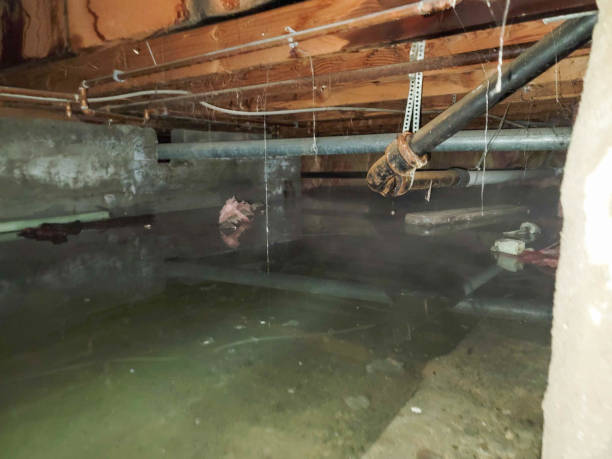 Best Flooded house restoration  in Jersey City, NJ