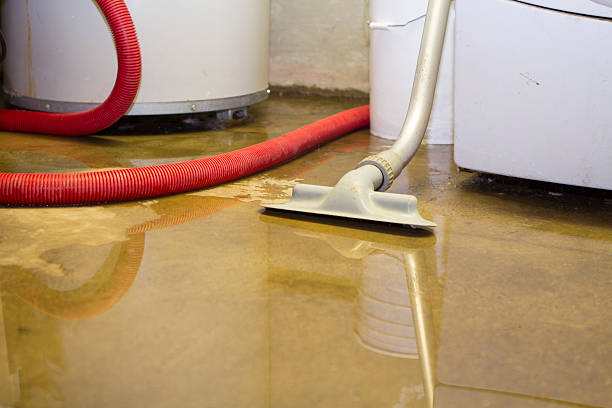 Best Emergency water extraction  in Jersey City, NJ