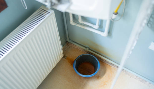Best Mold removal after water damage  in Jersey City, NJ